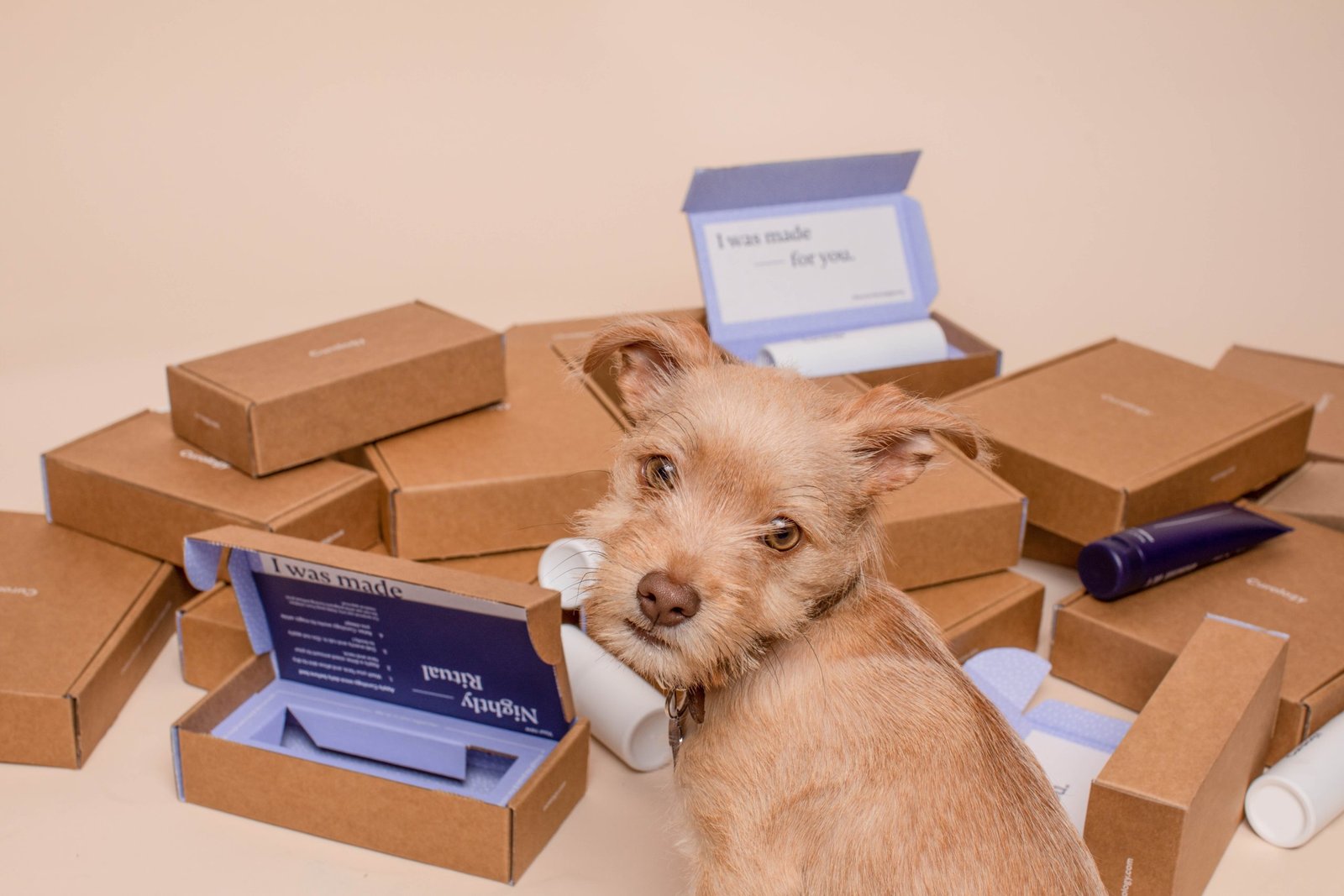 Picture of a puppy with open boxes, because data protection is like puppy-proofing stuff.